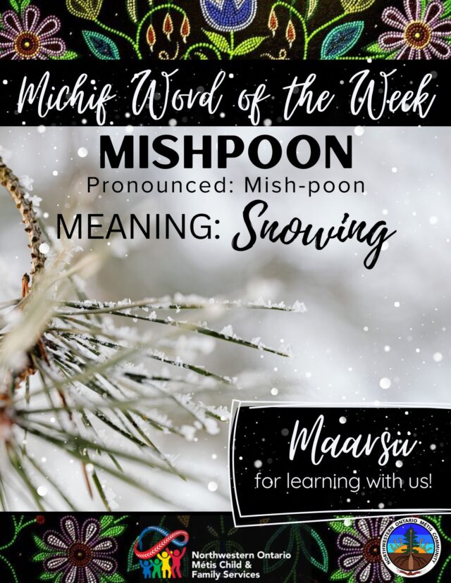Mishpoon Snowing