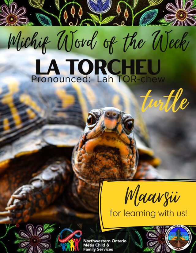 La Torcheu (3)